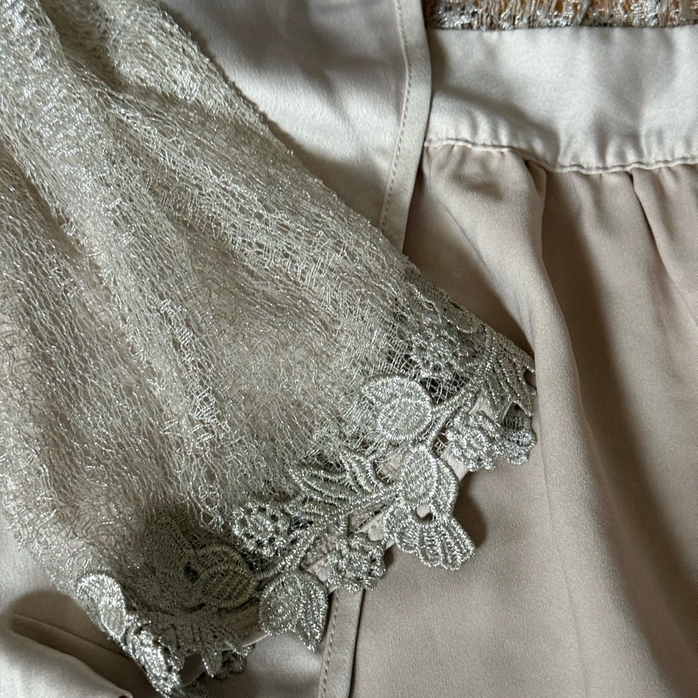 Champagne Lace Robe - Picture 7 of 10